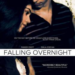   / Falling Overnight (2011) DVDRip