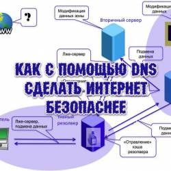    DNS    (2013)