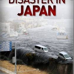    / Witness : Disaster in Japan (2011) HDTVRip 1080p