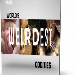 NG.    : - / World's Weirdest: Oddities (2013) HDTVRip