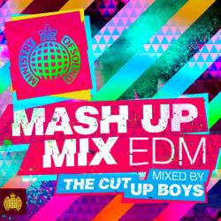 VA - Ministry Of Sound Mash Up Mix EDM (2014)
