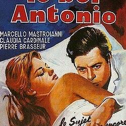   / Il Bell'Antonio (1960) DVDRip
