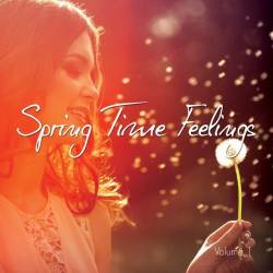 VA  Spring Time Feelings Vol. 1 (2016)