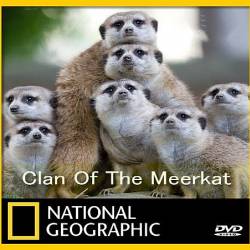   / Clan of the meerkat (2010) HDTVRip