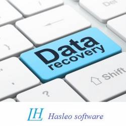 Hasleo Data Recovery 2.0 Professional / Enterprise / Technician / Utilmate + Portable