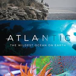 BBC. :      / Atlantic: The Wildest Ocean on Earth [S01] (2015) BDRip