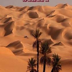    .    1300  / Crossing the Great Sahara: The 800 Mile Journey of a Camel Caravan (2001) HDTVRip
