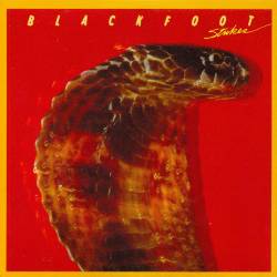 Blackfoot - Strikes (1979) FLAC/MP3