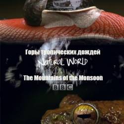 BBC:   -    / Natural World - The Mountains of the Monsoon (2009) HDTVRip