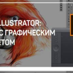 Adobe Illustrator.     (2018) -