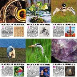   -    1-12 (- 2021) PDF.  2021 - - !