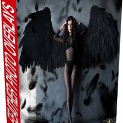 Design Bundles - Black feather Overlays, Feather photo overlays, photoshop (PNG)