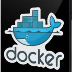 Docker:   Docker (2022) PCRec