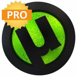 Torrent Pro 3.6.0 Build 46822 Stable + Portable