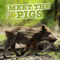    / Meet the Pigs (2021) , , , , HDTVRip