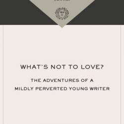 What's Not to Love?: The Adventures of a Mildly Perverted Young Writer - Jonathan Ames