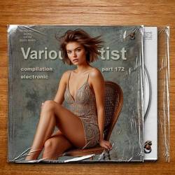 Compilation Part 172 Electronic (2025) FLAC