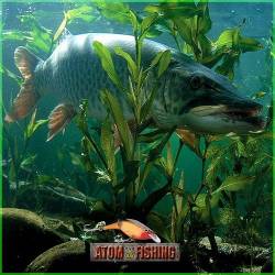  :   (RUS/ENG/PC) -  !