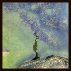 Night Gestalt - 7 Modes for a Revolution (2025)