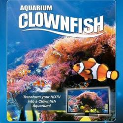  - - / Plasma Art - Aquarium Clownfish (2011) BDRip 1080p