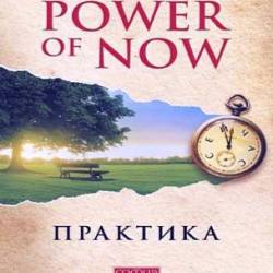   -  The Power of Now ()