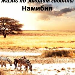    .  / The last hunters in Namibia (2013) IPTVRip