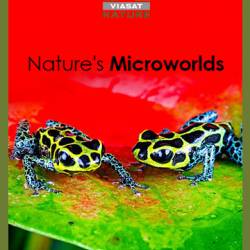     (: 1, : 1-10  10) / Nature's Microworlds (2012) IPTVRip