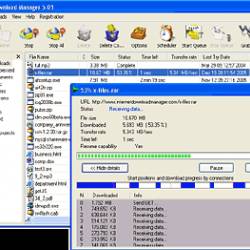 Internet Download Manager 5.02 + !