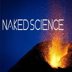    .    / Naked Science. Finding the Origin of Life (2010) HDTV (1080i)