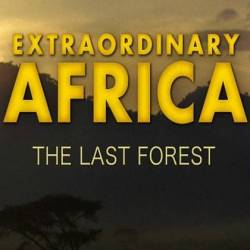  .   / Extraordinary Africa. The Last Forest (2011) HDTV 1080i