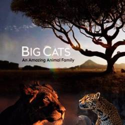  .   / Big Cats: An Amazing Animal Family (2015) HDTVRip 1080p