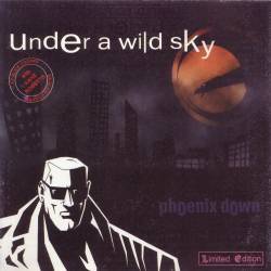 Phoenix Down feat. Kane Roberts [ex-Alice Cooper] - Under A Wild Sky (1999) [Limited Edition] APE/MP3