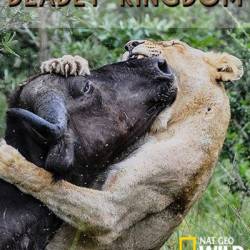  .  / Africa's Deadly Kingdom (2018) HDTV 1080i