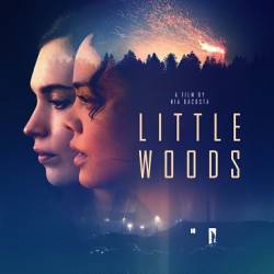  / Little Woods (2018) WEB-DLRip