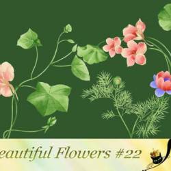 Beautiful Flowers #22 (PNG)