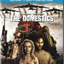  / The Domestics (2018) HDRip-AVC