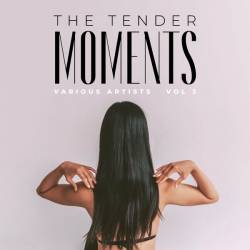 The Tender Moments Vol. 3 (2023) FLAC - Electronic, Lounge, Chillout, Downtempo, Balearic