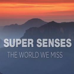    / Super Senses: The World we Miss (2022) HDTV 1080i