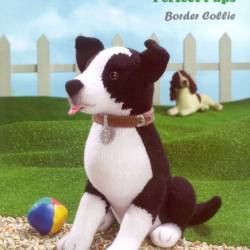 Border Collie - Stephen Sussam