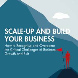Scale-up and Build Your Business: How to Recognise and Overcome the Critical Challenges of Business Growth and Exit - David Molian