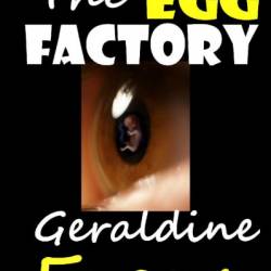 The Egg Factory - Geraldine Evans