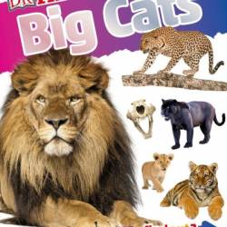 DKfindout! Big Cats - DK