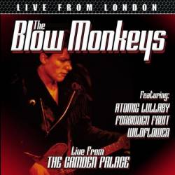 The Blow Monkeys - Live From London (2016)