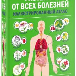 �������� �� ���� ��������. ���������������� �����