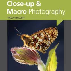 Small Things Big - Up and Macro Photography - Davies, Paul Harcourt