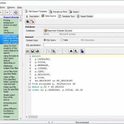 Reportizer 6.6.0.1078 Multilingual