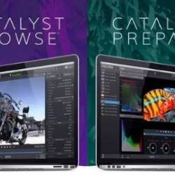 Sony Catalyst Browse  Prepare Suite 2025.3  x64