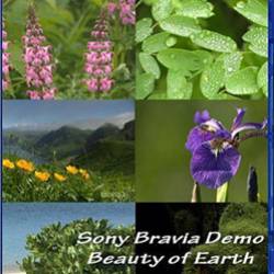   / Sony Bravia Beauty of Earth (2009) BDRip 720p