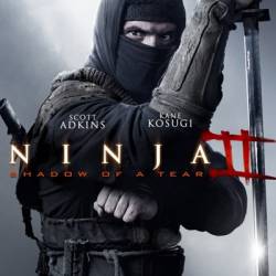  2 / Ninja: Shadow of a Tear (2013) WEB-DLRip/1400Mb/700Mb