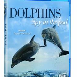 .    (1-2   2) / Dolphins. Spy In The Pod (2014) HDTVRip (720p)